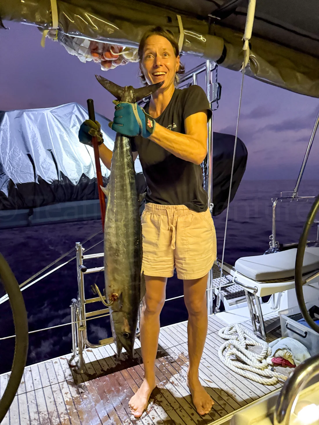 Fishing in the Maldives, a fresh wahoo catch aboard, Teatime Adventures