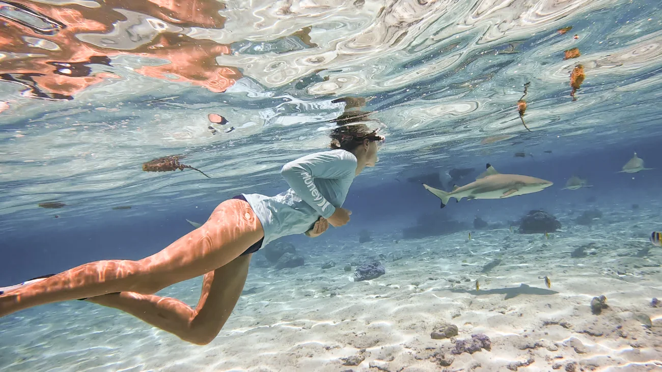 Snorkeling with a reef shark in the Maldives, Teatime Adventures