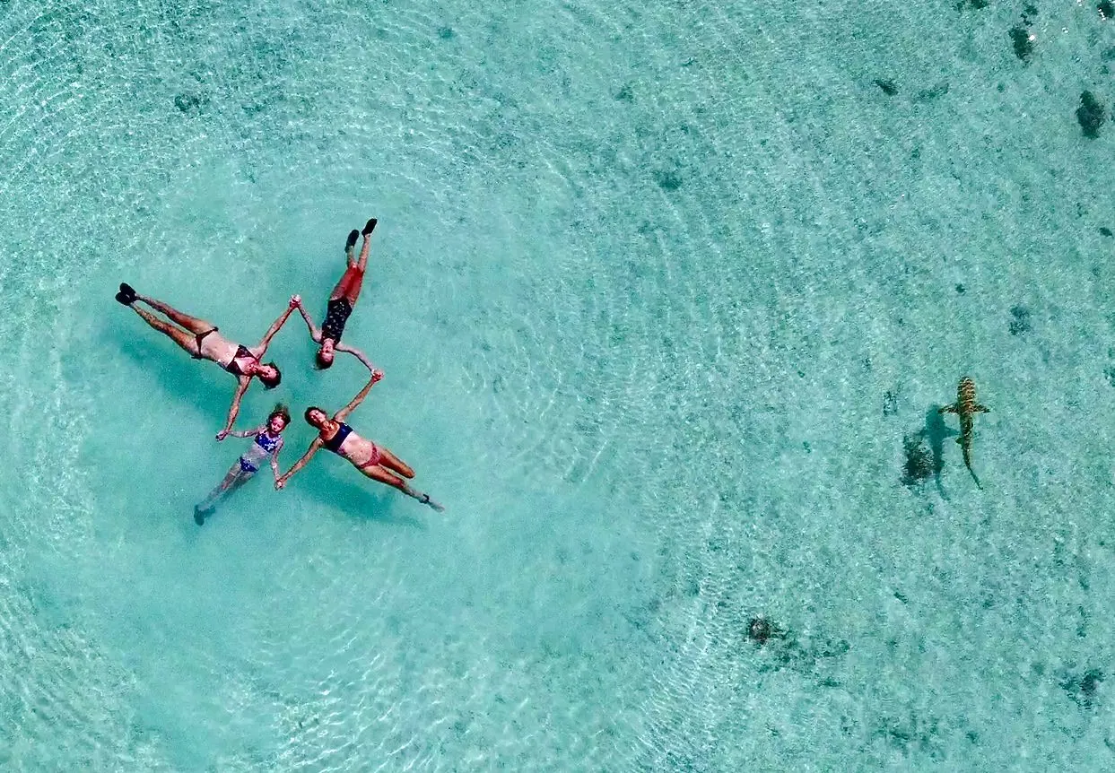 Floating with a passing reef shark.
